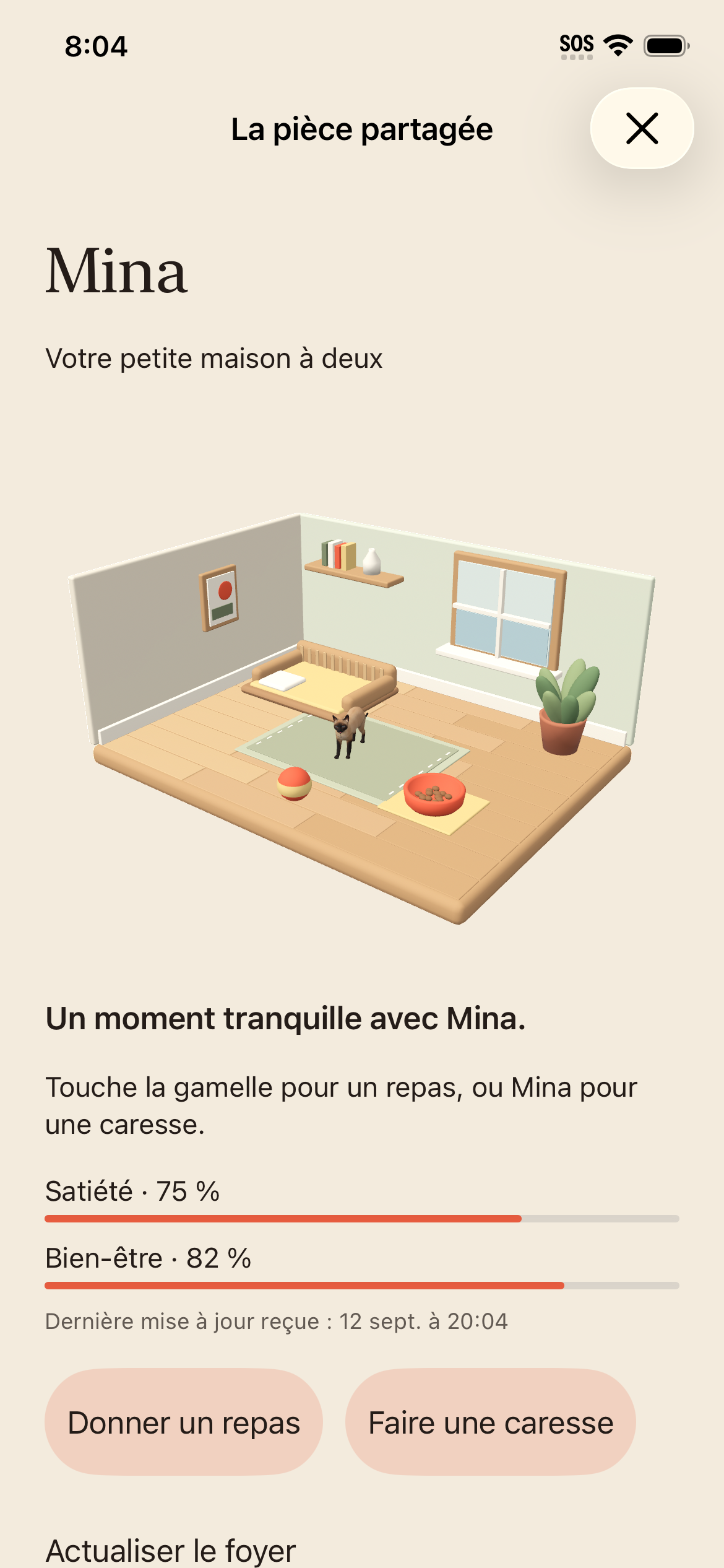 Mina, le chat du foyer partagé, dans sa pièce avec son panier, son tapis et sa gamelle.